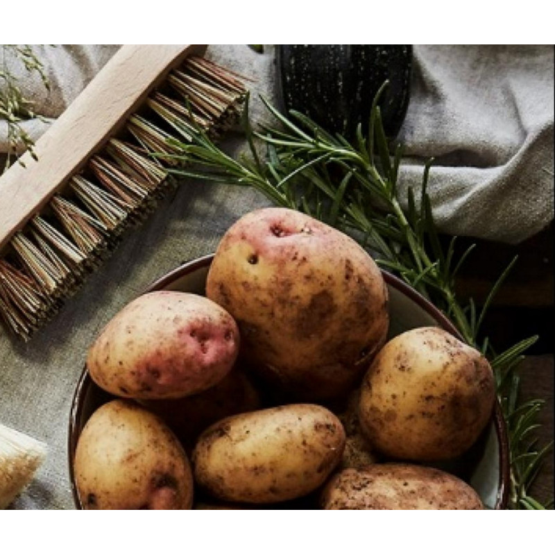 La Droguerie D'Amelie SZCZOTKA ROŚLINNA do szorowania ziemniaków i warzyw korzeniowych